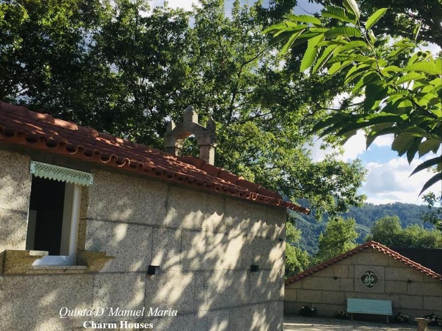 Amarante-Quinta D'Manuel Maria, Rural Charm Houses Εξωτερικό φωτογραφία